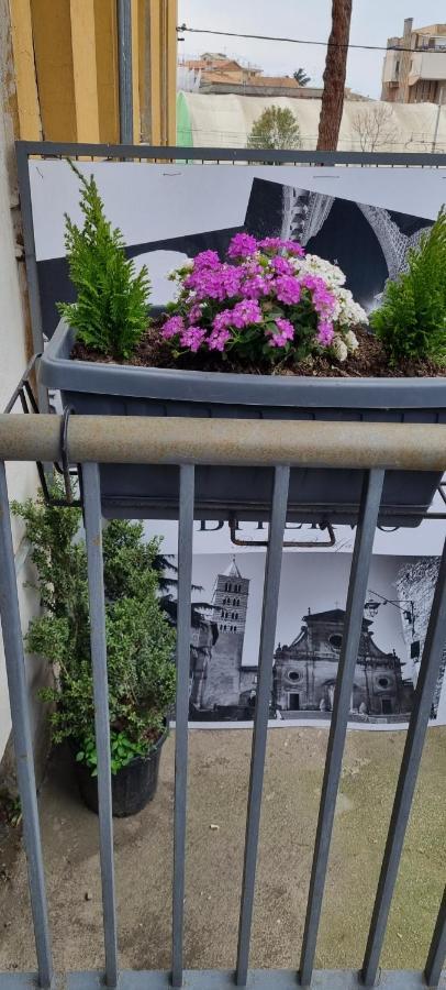 Bitervo Panzió Viterbo Kültér fotó