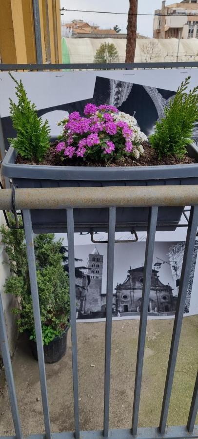 Bitervo Panzió Viterbo Kültér fotó